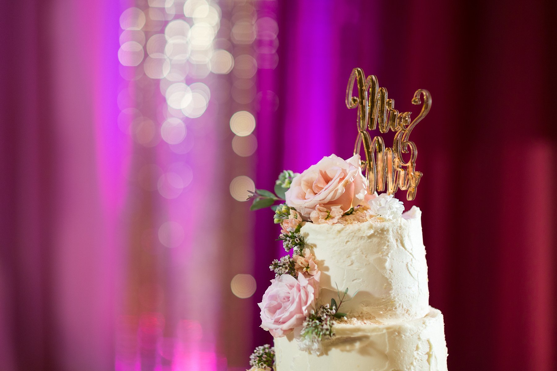 Jacksonville Pakistani Wedding | Bri Cibene Photography | www.bricibene.com